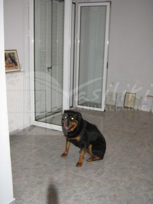 waiting room before1